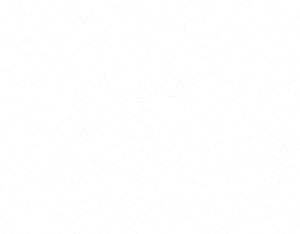 OneA